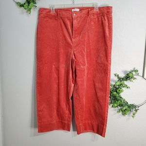 Loft Wide Leg Velvet Pants